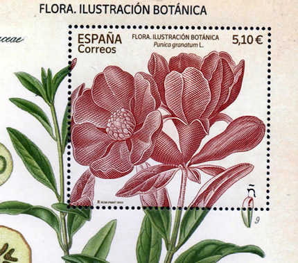 I02 - Flores del mundo