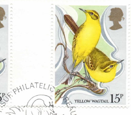 I17 - Aves del mundo